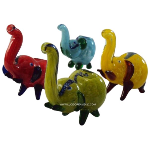 Dichro Elephants Case of 12